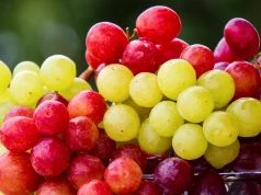 Üzüm Beynin Dostu