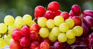 Üzüm Beynin Dostu